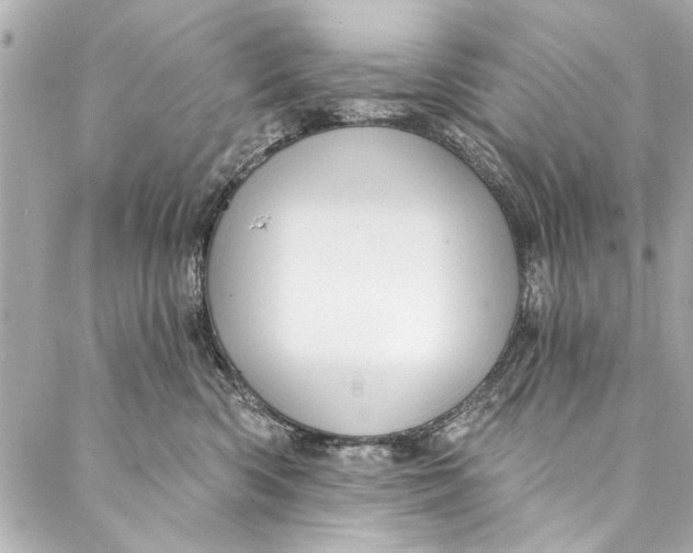 X0000086950426200705071448