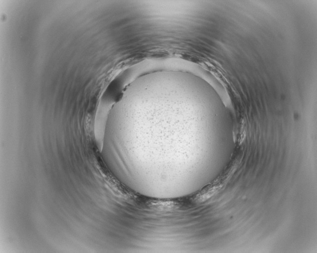 X0000086950428200705071448