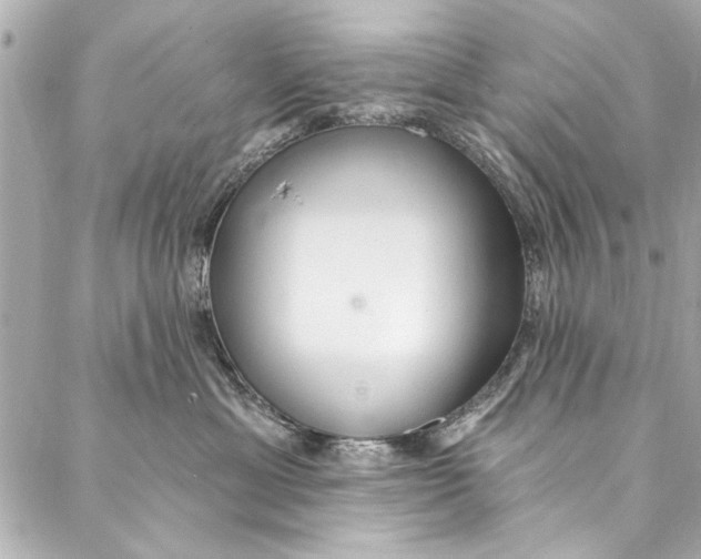 X0000086950429200705071448