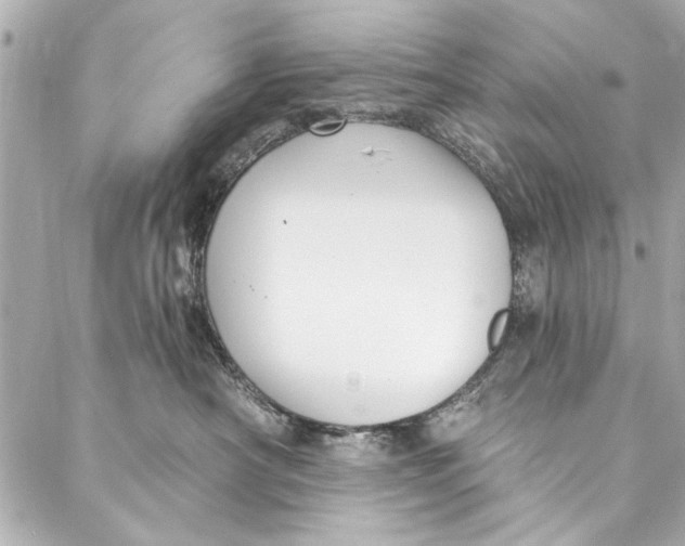 X0000086950430200705071448