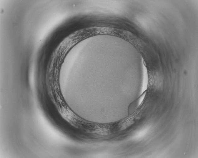 X0000086950431200705071448