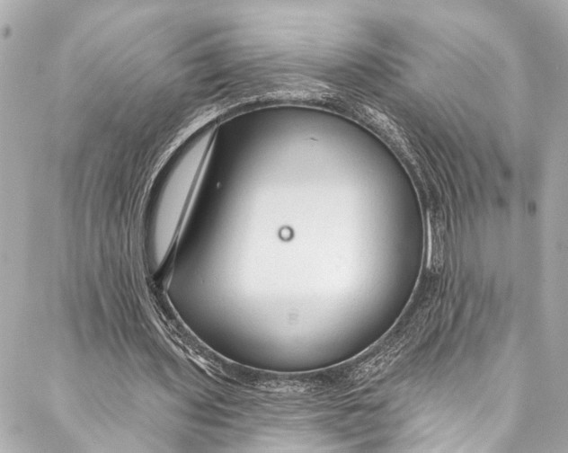 X0000086950435200705071447