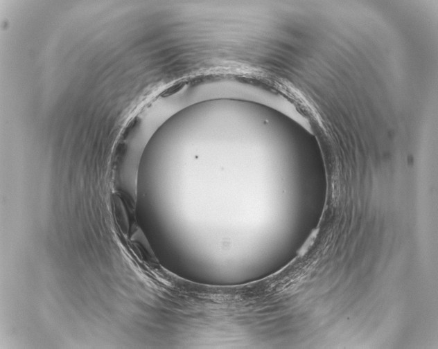 X0000086950436200705071447