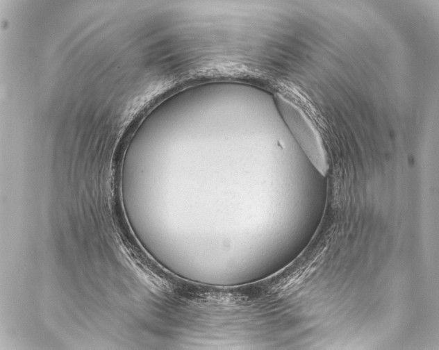 X0000086950439200705071447