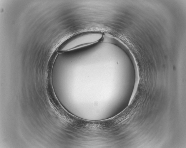 X0000086950440200705071447