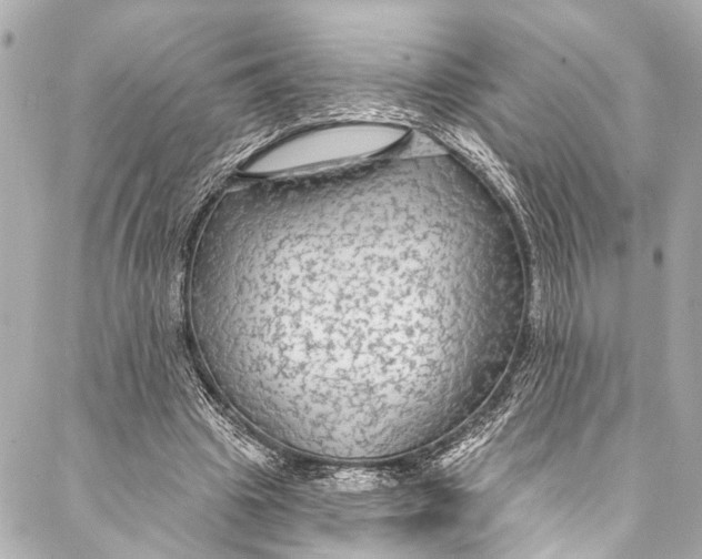 X0000086950441200705071447