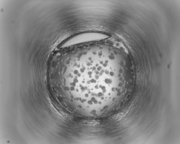 X0000086950443200705071447