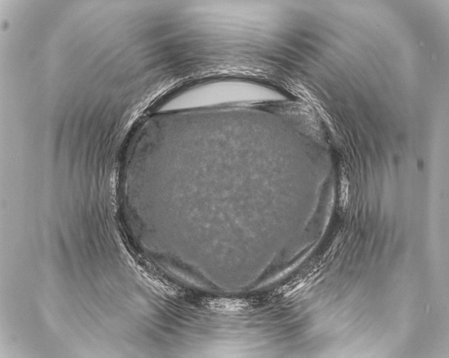 X0000086950444200705071447