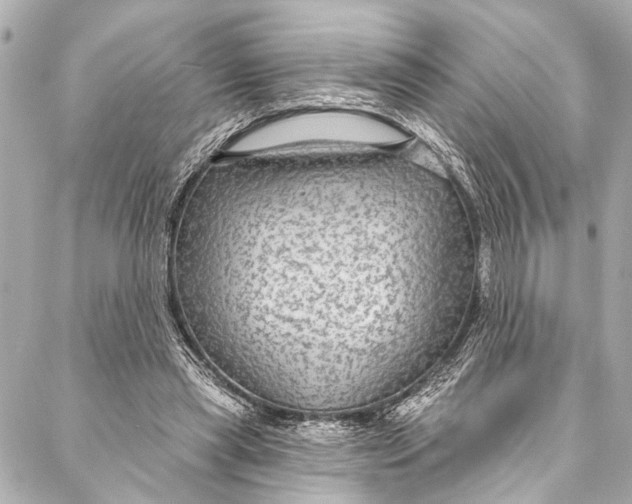 X0000086950445200705071447