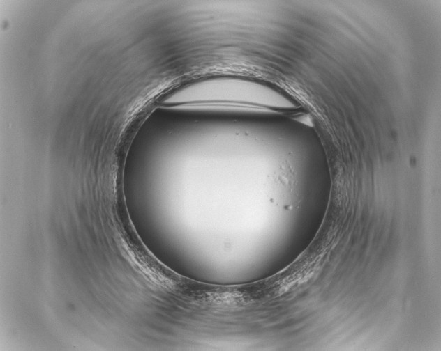 X0000086950446200705071447