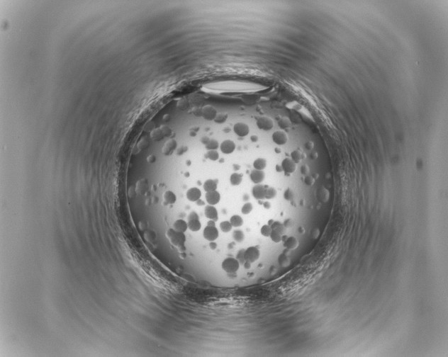 X0000086950447200705071447