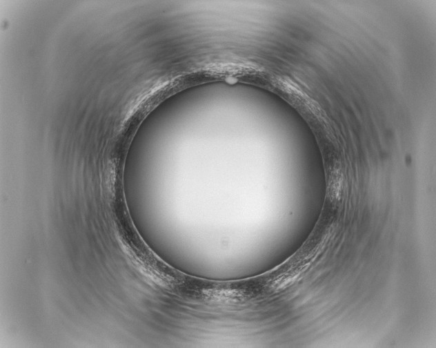 X0000086950448200705071447