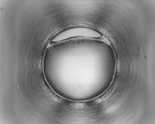 X0000086950449200705071447