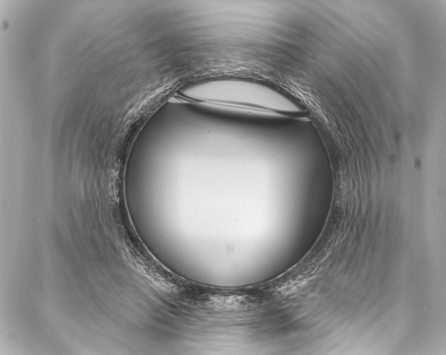 X0000086950450200705071447