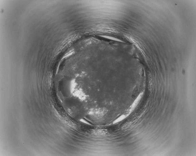 X0000086950451200705071447