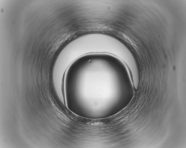 X0000086950452200705071447