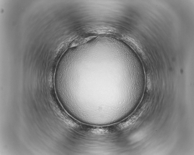 X0000086950453200705071447