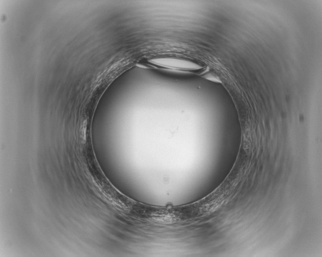 X0000086950454200705071447