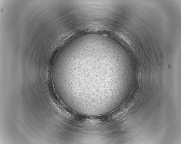 X0000086950455200705071447