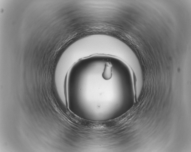 X0000086950456200705071447