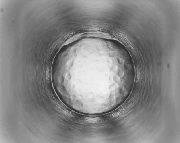 X0000086950457200705071447