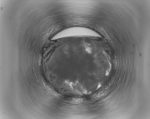 X0000086950458200705071447