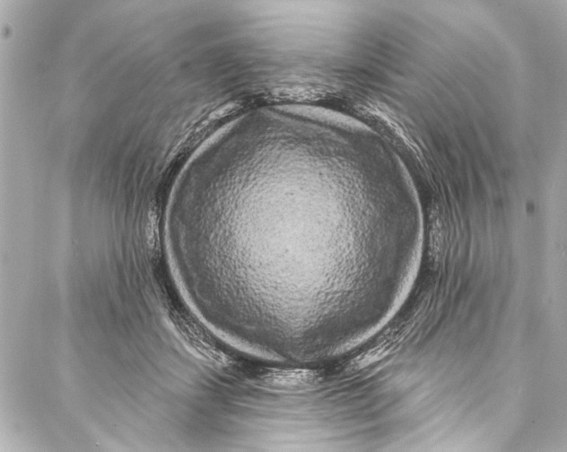 X0000086950459200705071447