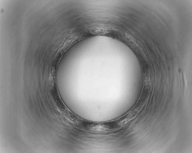 X0000086950460200705071447