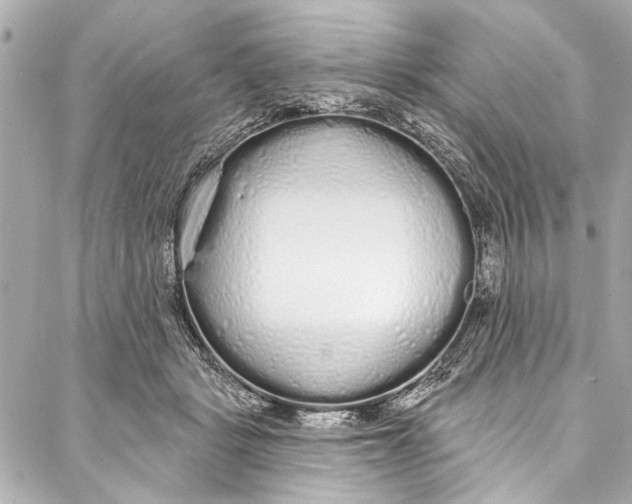 X0000086950461200705071447