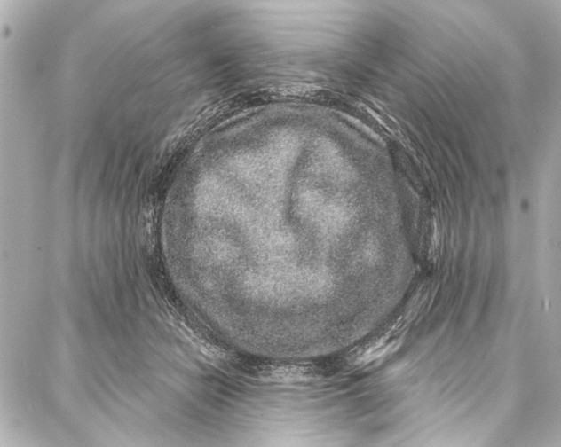 X0000086950462200705071447