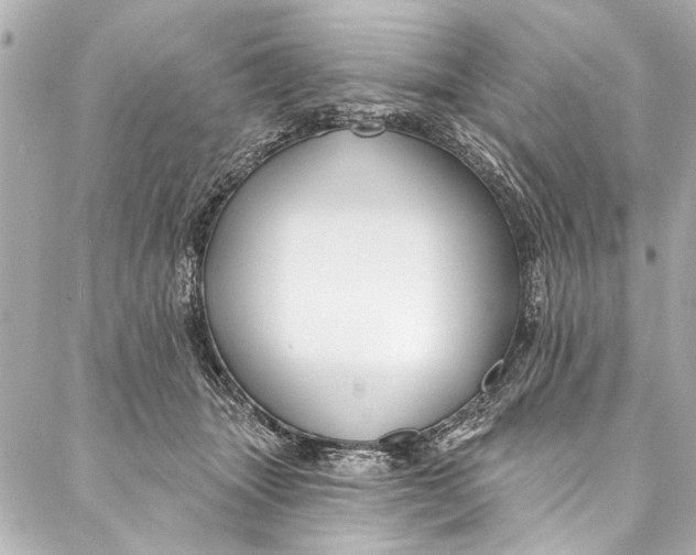 X0000086950463200705071447