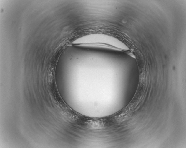 X0000086950464200705071447