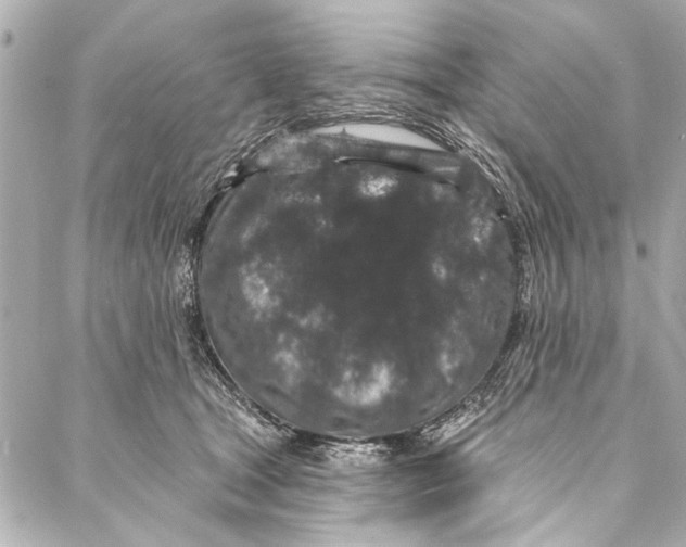 X0000086950465200705071447