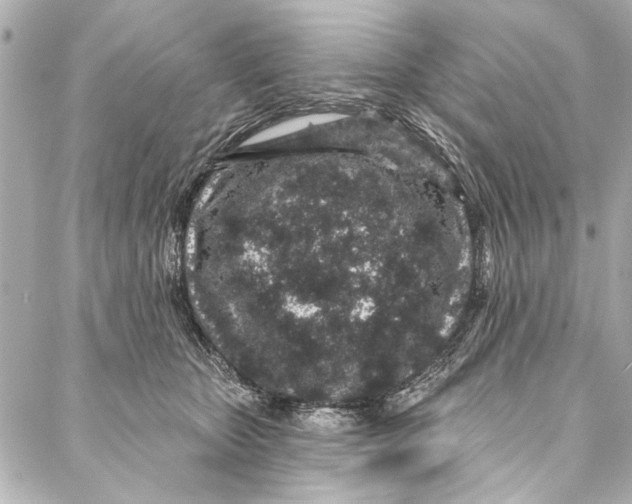 X0000086950467200705071447