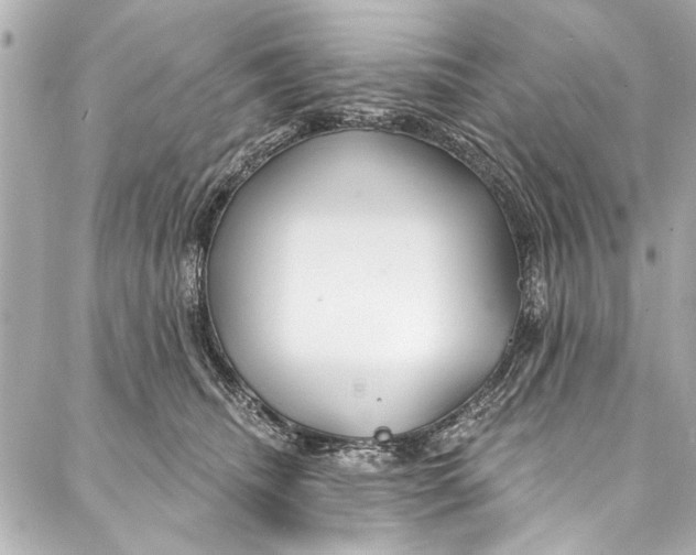 X0000086950468200705071447