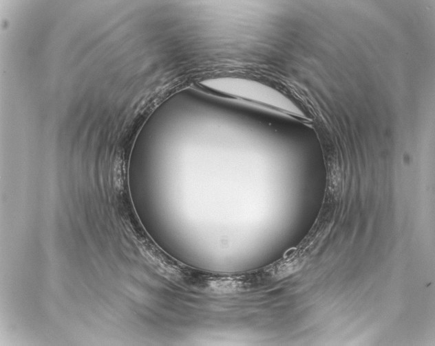 X0000086950470200705071447