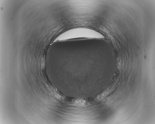 X0000086950471200705071447