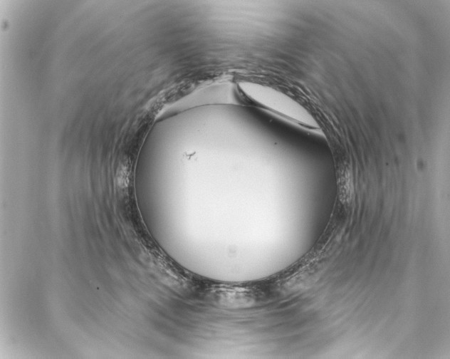 X0000086950472200705071447