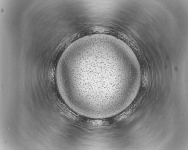 X0000086950473200705071447