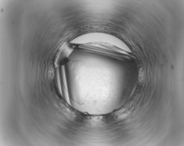 X0000086950474200705071447