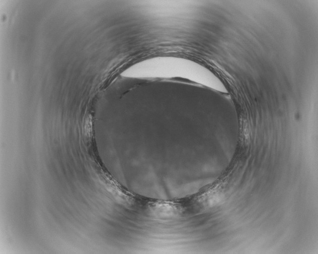 X0000086950475200705071447