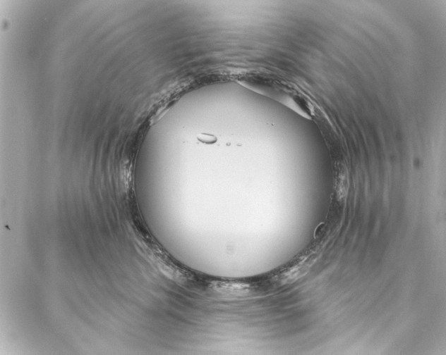 X0000086950476200705071448