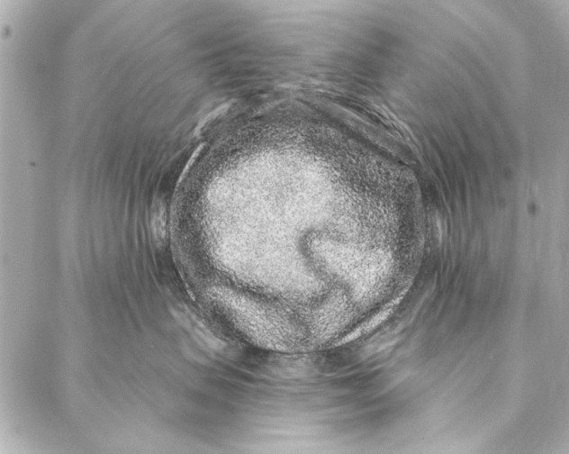 X0000086950479200705071448