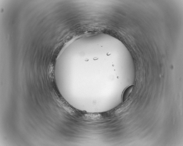 X0000086950480200705071448