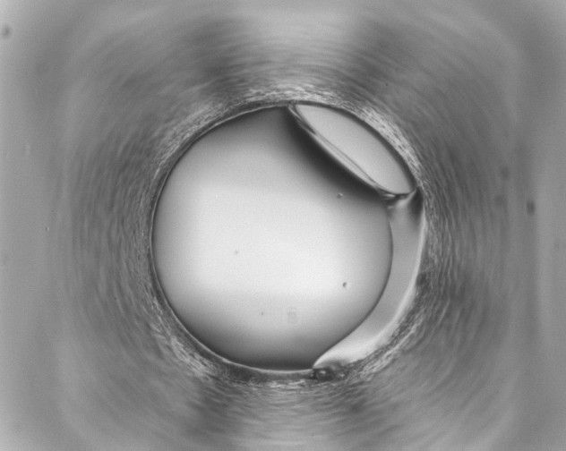 X0000086950481200705071447