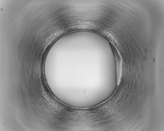 X0000086950482200705071447