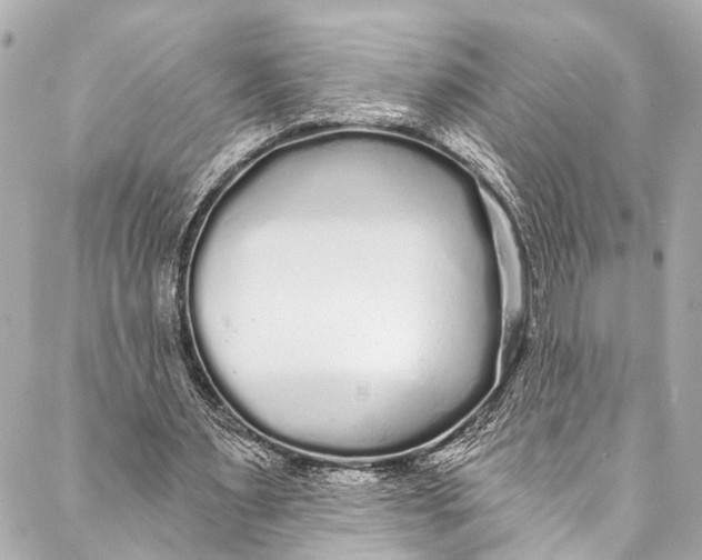 X0000086950483200705071447