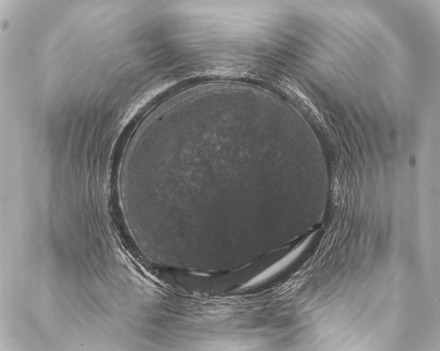 X0000086950484200705071447