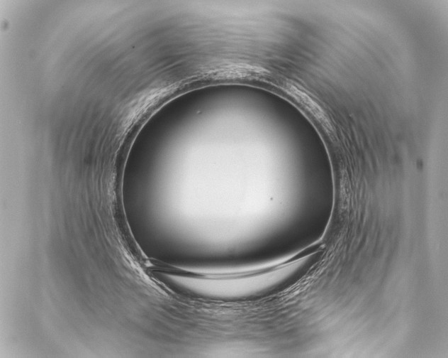 X0000086950485200705071447