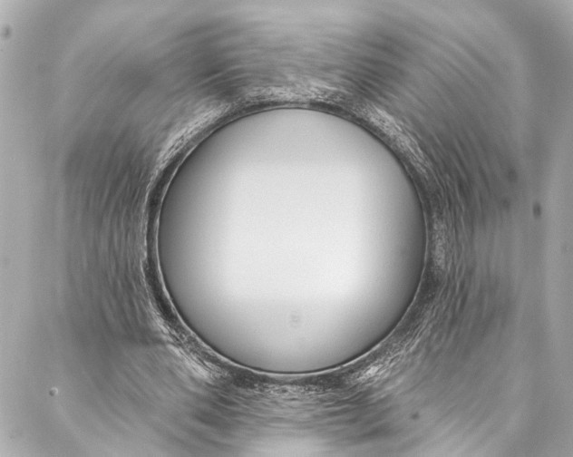 X0000086950486200705071447